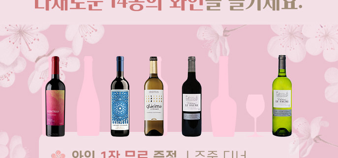 와인 프로모션